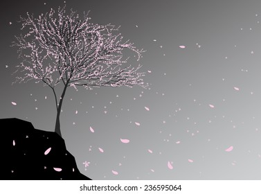 pink cherry tree blossoms on the edge of cliff, japanese memory