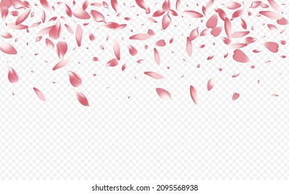 Pink Cherry Vector Transparent Background. Lotus Nature Pattern. Petal Marriage Illustration. Rosa Flutter Congratulation. Bright Bloom Japanese Banner.