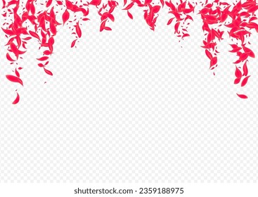 Pink Cherry Vector Transparent Background. Tender Rose Poster. Beautiful Floral Summer Pattern. Delicate Japan Petal Wallpaper.