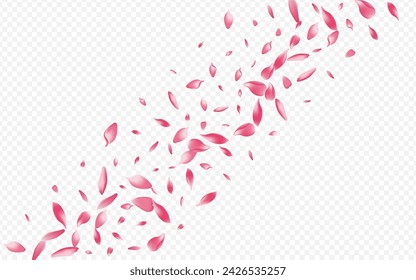 Pink Cherry Vector Transparent Background. Tree Marriage Backdrop. Rosa Graphic Design. Floral Spa Texture. Bright Bloom March Cover.