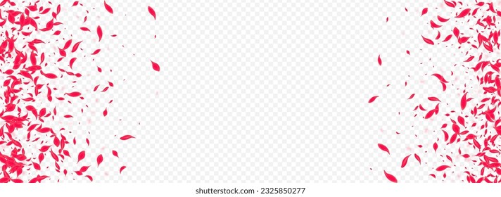 Pink Cherry Vector Transparent Panoramic Background. Japan Blossom Wallpaper. Delicate Lotus Beauty Template. Beautiful Fly Flower Illustration.