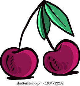 Pink cherry,illustration,vector on white background