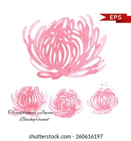 Pink chrysanthemum illustration background. Vector image.