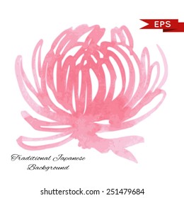 Pink chrysanthemum illustration isolated.  Vector image.