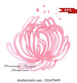 Pink chrysanthemum illustration isolated.  Vector image.
