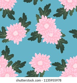 Pink Chrysanthemum on Light Blue Background. Vector Illustration.