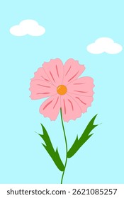 rosafarbene Wolkenblume auf blauem Hintergrund,