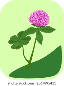 
Pink clover flower with four-leaf clover. Symbol of good luck. Illustration.