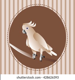 Pink cockatoo