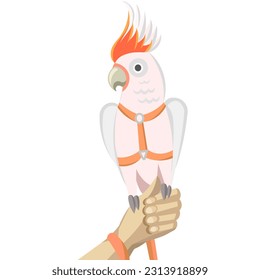 Pink cockatoo; galah; pink and grey cockatoo or rose-breasted cockatoo parrot in harness and leash on human hand - vector illustration