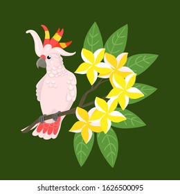 A pink cockatoo sits on a plumeria branch. Vector graphics.