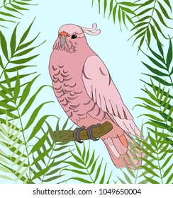 Pink cockatoo in vector illustration.  Summer background with parrot