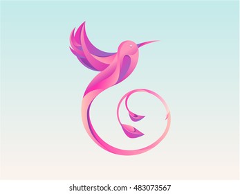 Pink colibri illustration