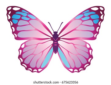 Pink color butterfly abstract vector drawing illustration, monarch