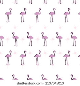 Pink color flamingo and decorative patterns on white background, vector