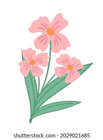 Pink color flowers bouquet vector illustration