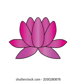 Pink Color Lotus Flower Isolated Vector