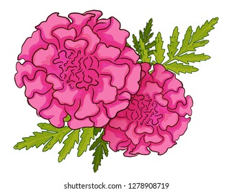 Pink Color marigold leaf