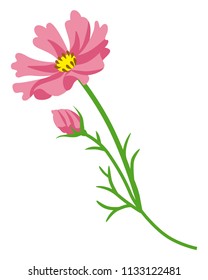 Pink colored Cosmos flower - flat clip art