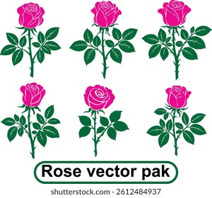 Pink Colour With Green Leaf Rose Vector pak Illustration