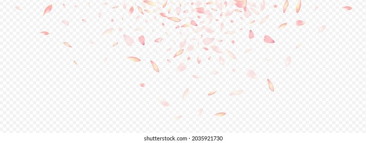 Pink Confetti Vector Panoramic Transparent Background. Blossom Marriage Design. Apple Falling Banner. Tree Invitation Congratulation. White Leaf Mother Texture.