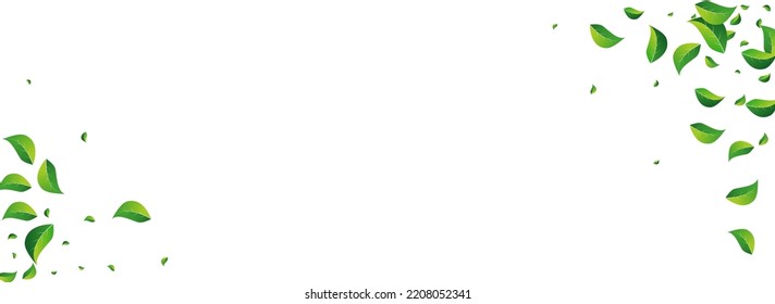 Pink Confetti Vector Panoramic White Backgound. Happy Heart Illustration. Red Birthday Hearts Banner.