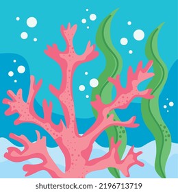 pink coral and algaes green