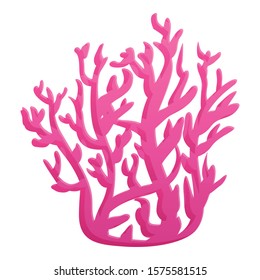 Pink coral icon. Cartoon of pink coral vector icon for web design isolated on white background