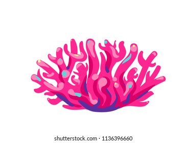 Pink coral isolated on white background. Vector illustration