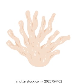 Pink coral reef, tropical underwater ocean or sea marine life vector illustration. Cartoon coral from sea bottom, under water nature isolated on white