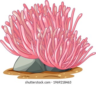 Pink corals on stone isolated on white background illustration