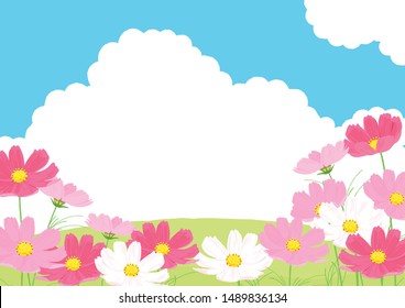 pink cosmos and blue sky vector illustration  background