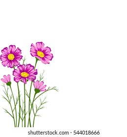 Pink cosmos flower with green leaf