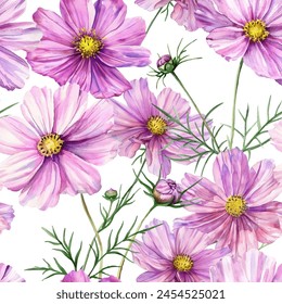 Pink cosmos flowers on white background vector seamless pattern. Summer dress fabric print design.Pink purple cosmos flowers and buds, green leaves. Mexican aster of Cosmos bipinnatus blossom endless 