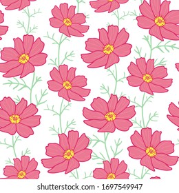 Flores de cosmos rosadas con un patrón transparente con ramas de fondo blanco
