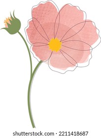 Pink cosmos watercolor vector illustration isolated in white background