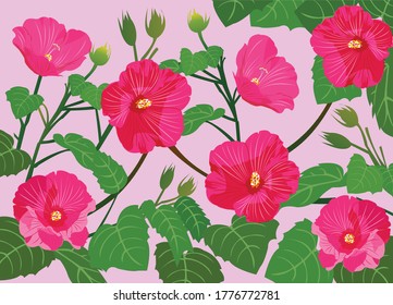 Cotton Rose Images Stock Photos Vectors Shutterstock