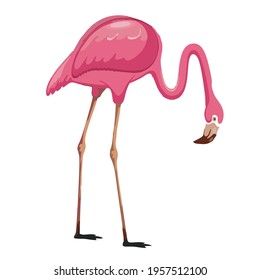 pink crane vector art Design