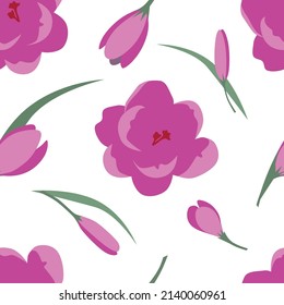 Pink crocus on white background seamless vector pattern