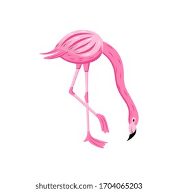 Pink cute flamingo modern color cartoon character, vector illustration isolated on white background. Exotic tropical bird for summer designs, cards and textile prints.