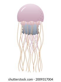 Pink cute jellyfish. Vector illustration.