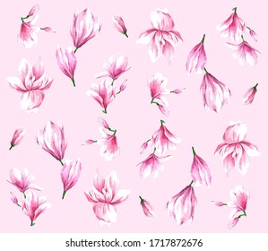 Pink and cute magnolia blooming pattern with vector isolated flowers