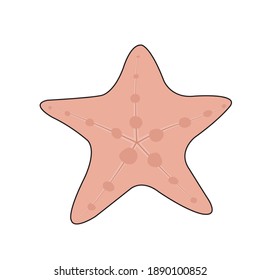 Pink cute squid.Illustration of squid.