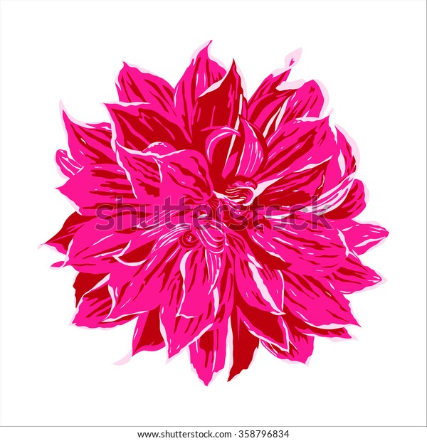 Pink Dahlia Flower Illustration Vector Isolated Stock Vector Royalty Free