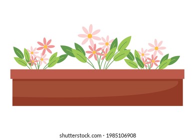 Las margaritas rosas en una olla, las plantas de las casas, las flores rosas lindas, la ilustración vectorial en estilo plano, la caricatura.