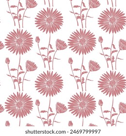 Pink Daisy drawing in a vector style isolated. Full name of the plant: Daisy. Vector flower for white background, texture, wrapper pattern, frame or border.