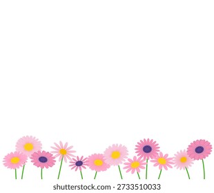 Pink daisy flower background material. Vector illustration.