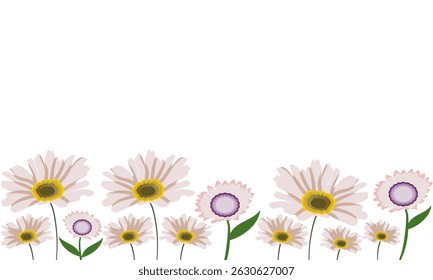 Pink daisy flower border with a summer meadow floral theme