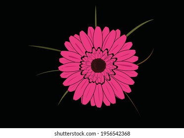 pink daisy flower hand drawn design
