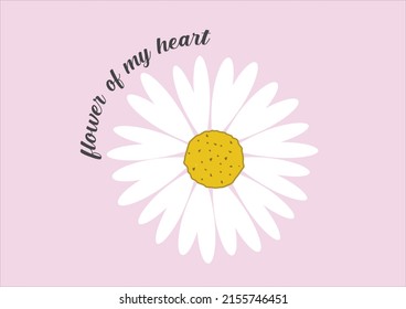 pink daisy flower hand drawn design